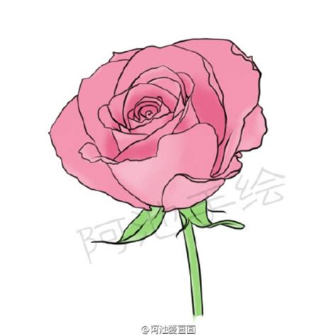 玫瑰花怎麼畫|如何画玫瑰（包含图片）